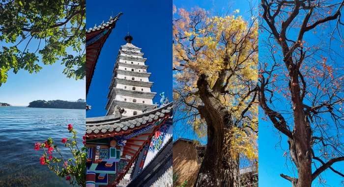 文旅部519中国旅游日,519中国旅游日宣传片