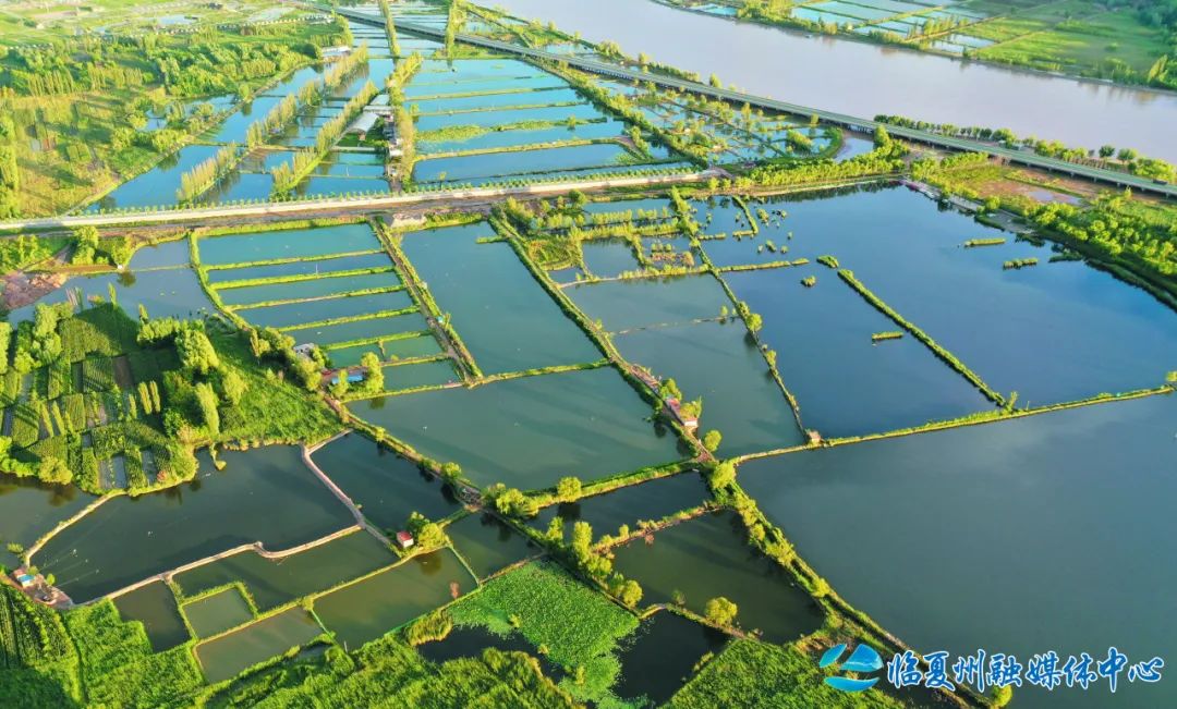 2024骞村宸磋兒閰嶈壊,缁胯壊鐨勫宸磋兒閰嶈壊