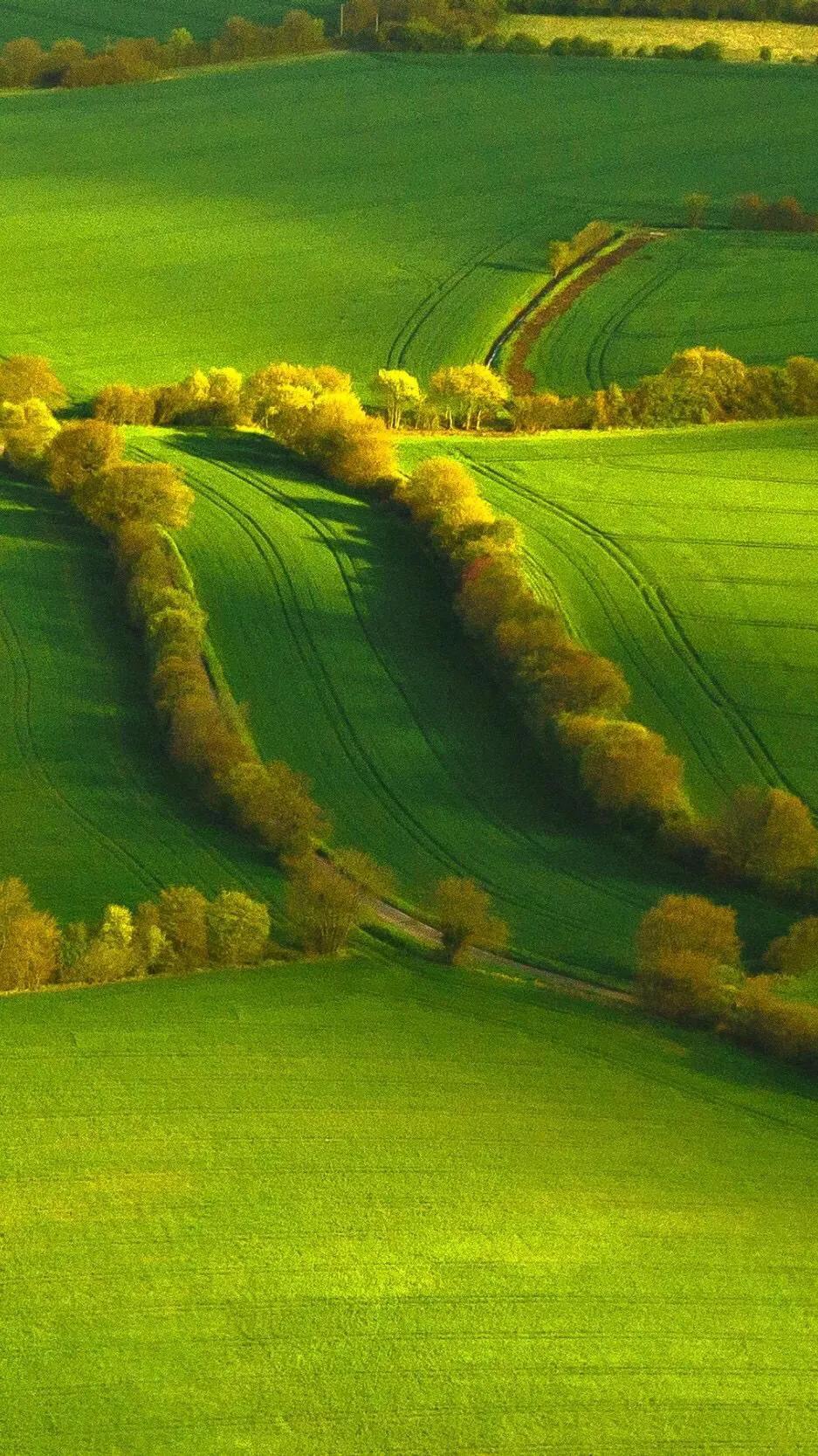 描写乡村田园风景的诗有哪些,关于描写山水田园风光的诗词短句