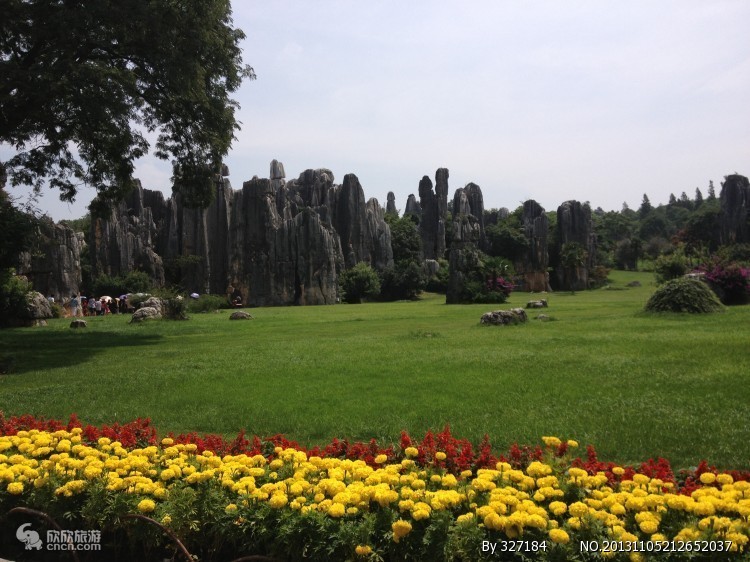 去云南旅游报团还是自由行比较好,去云南跟团旅游怎么样报团便宜点