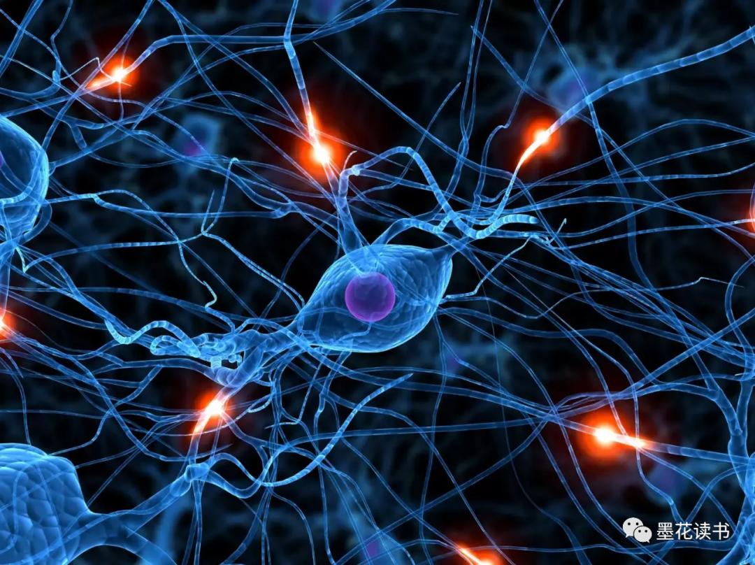 思维导图成为全球思维工具,怎么越来越多人用思维导图