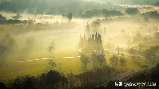 她做保姆这些年豪门生活最新篇,她做保姆这些年之豪门生活完整版