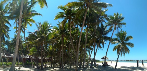 海南文昌景点避坑,海南省文昌有什么好玩的地方