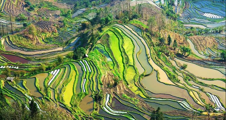 云南最美的22个景点推荐,云南最美的季节和景点