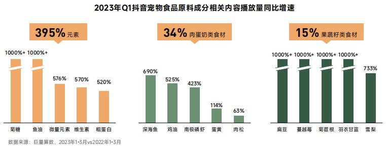 2023年宠物行业的发展现状及前景,2023年宠物市场前景分析