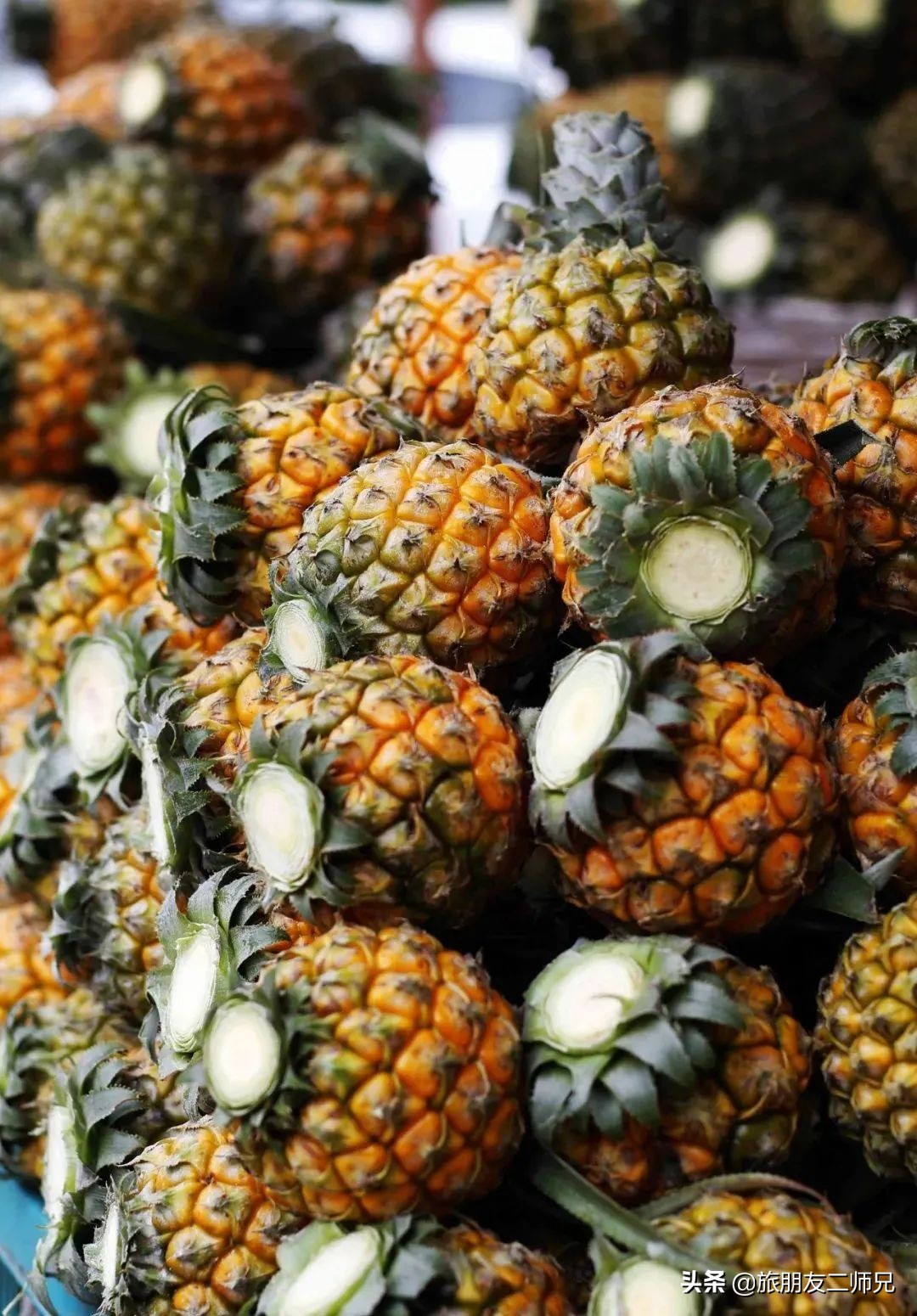 广州中山五日游攻略,广州出发江门2天一夜自由行攻略