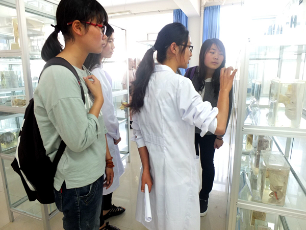 大理大学临床医学院简介,大理大学有哪几所附属医学院