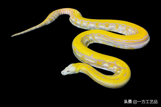 出马仙中的暗堂,出马仙明堂和暗堂区别