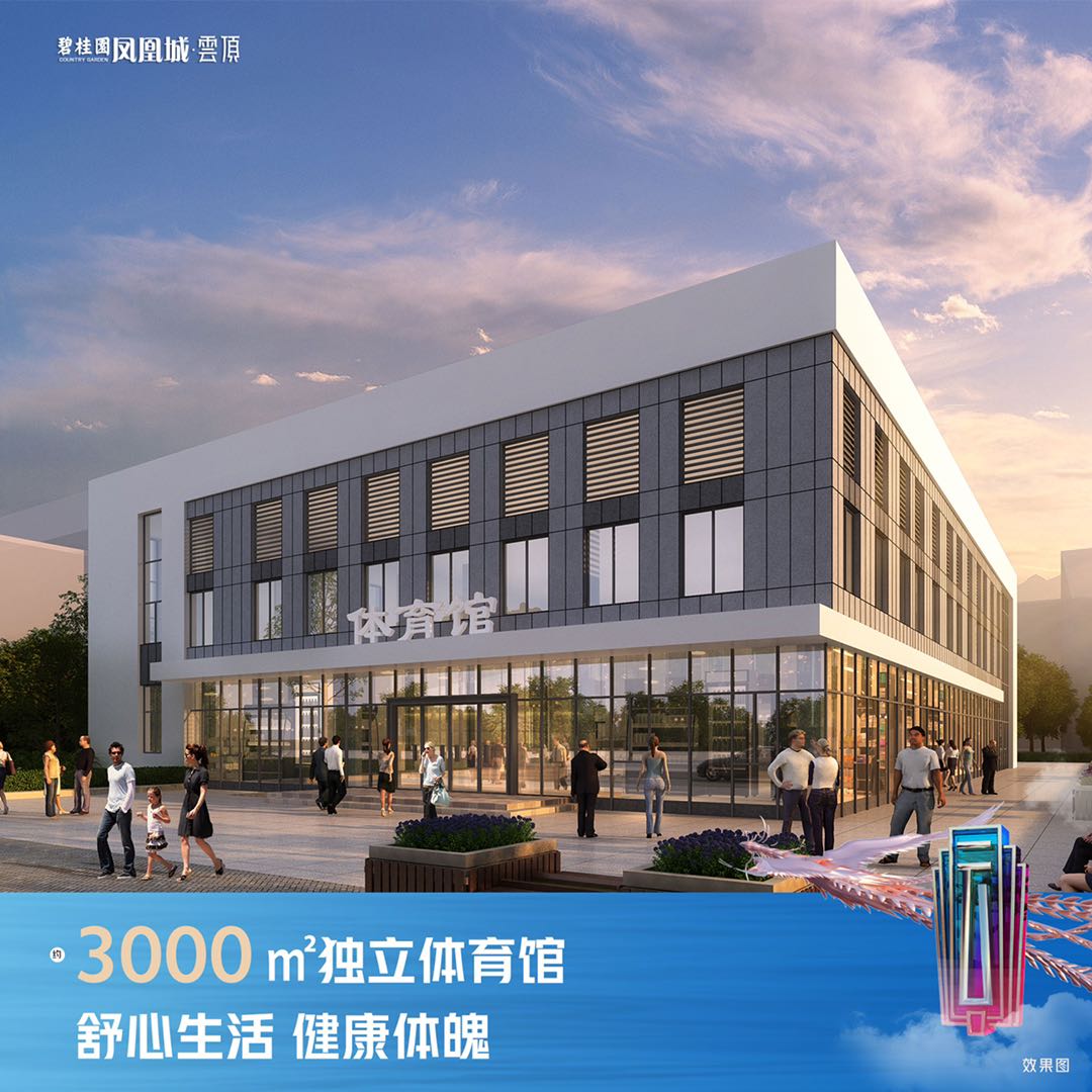 广州东不限购,凤凰城实验小学好还是应元学校好