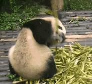 在人际交往中赞美是必不可少的,人际沟通中如何做到有效的赞美