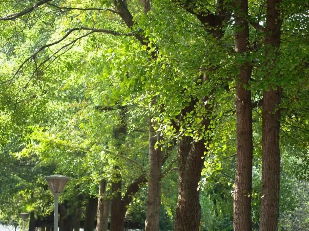 森林中的大学——无锡太湖学院：很高兴认识你