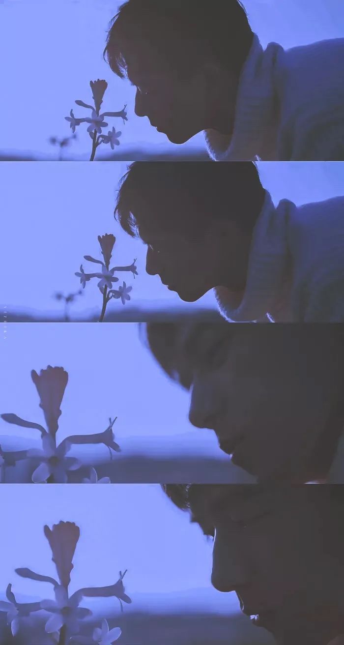 不被父母祝福的爱情好不好,不被父母祝福的爱情后来怎么办