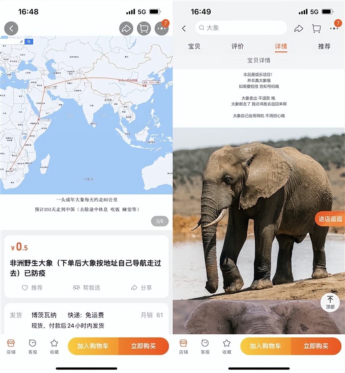 1元网购野大象,网购野生大象真的会走到家门口吗