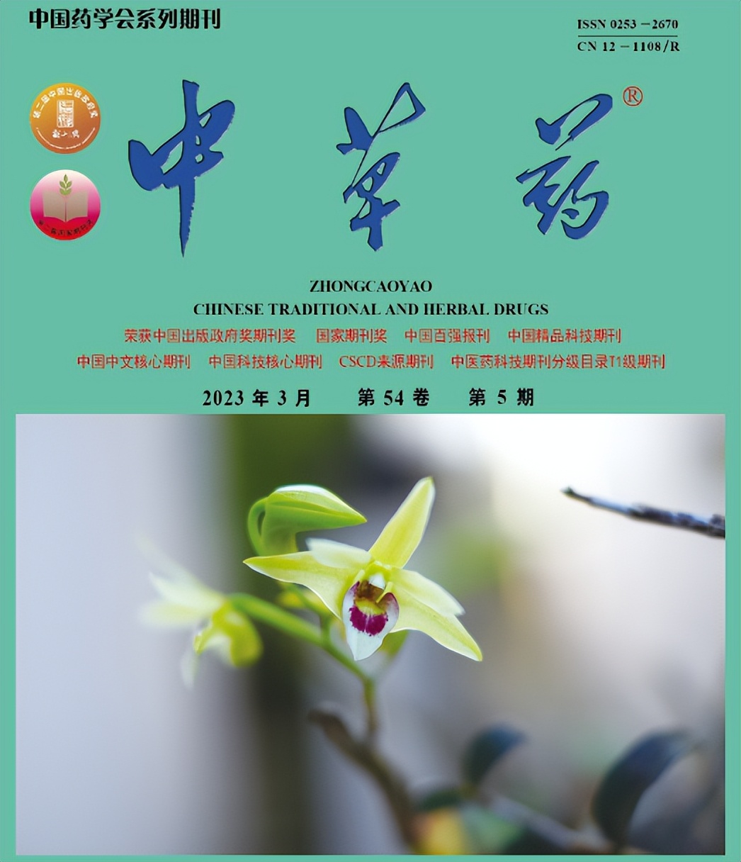 普济方方剂,普济药方