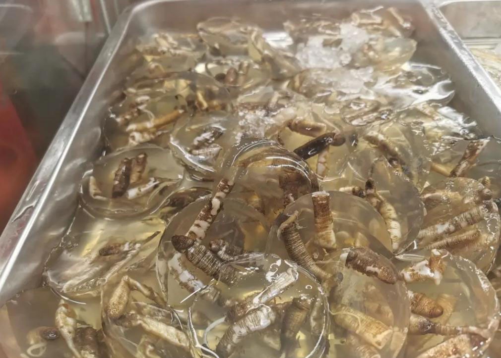 地方奇葩特色美食集锦,这些地方特色美食你吃过哪几样