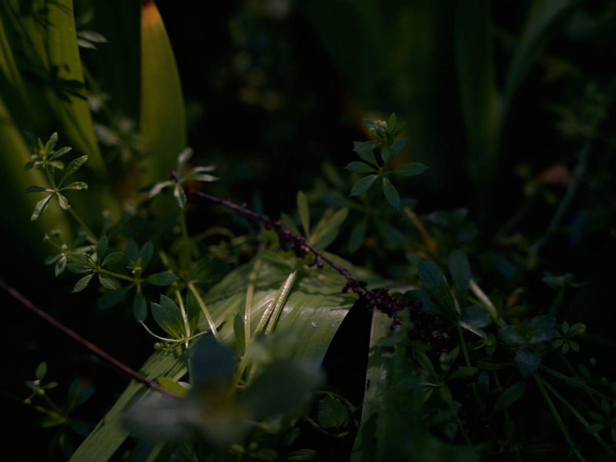 这几个星座表面波澜不惊,这些星座看似高冷实际却暖到不行