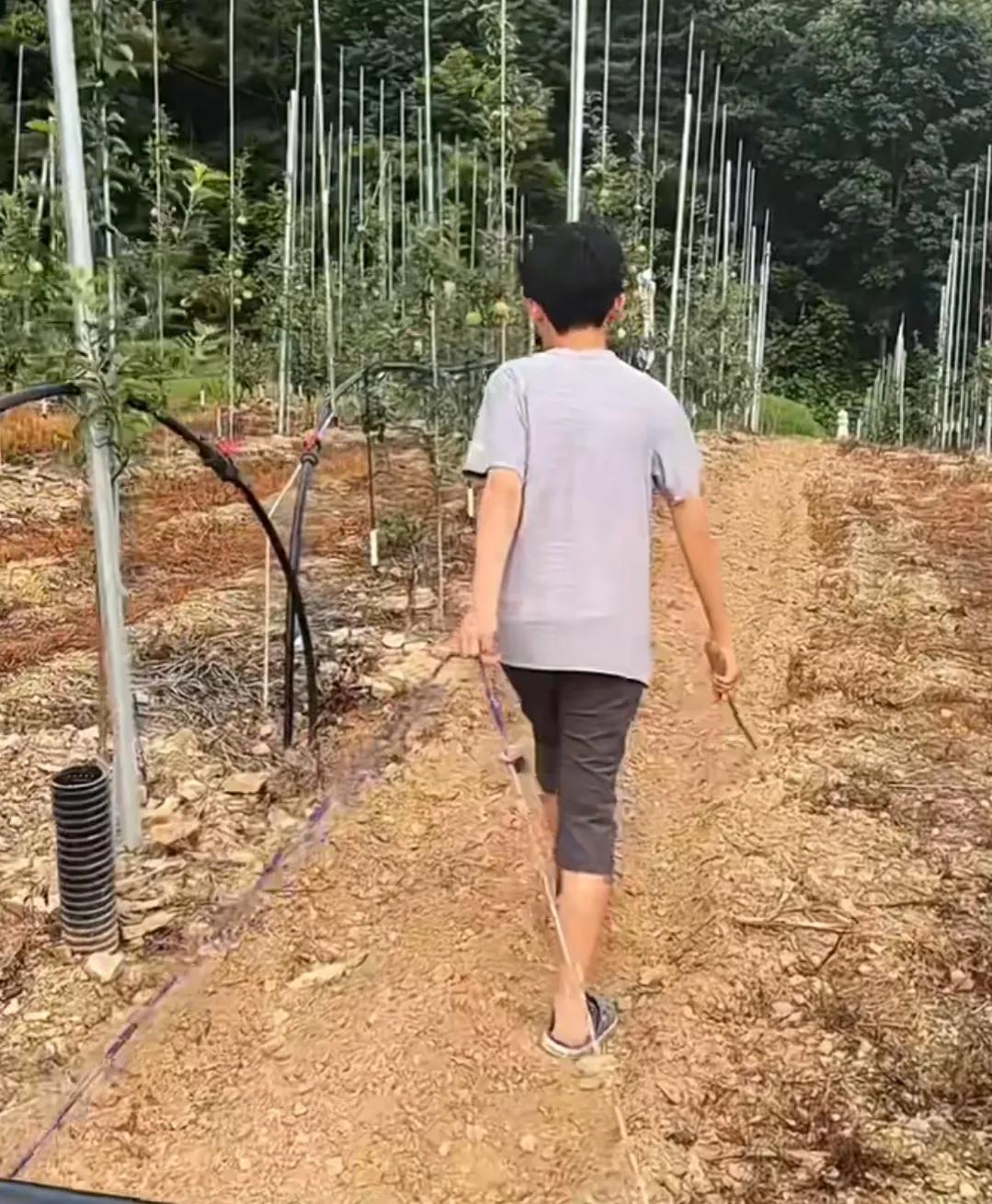 山东姑娘远嫁日本农村,山东姑娘远嫁大山的生活