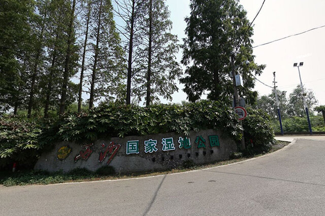 上海崇明生活是一种什么体验,崇明岛居住体验