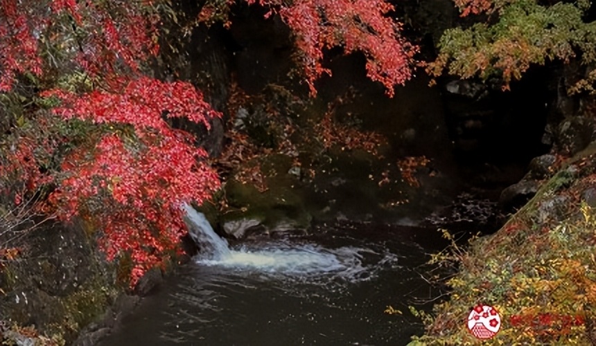 茨城旅行,茨城和茨城县