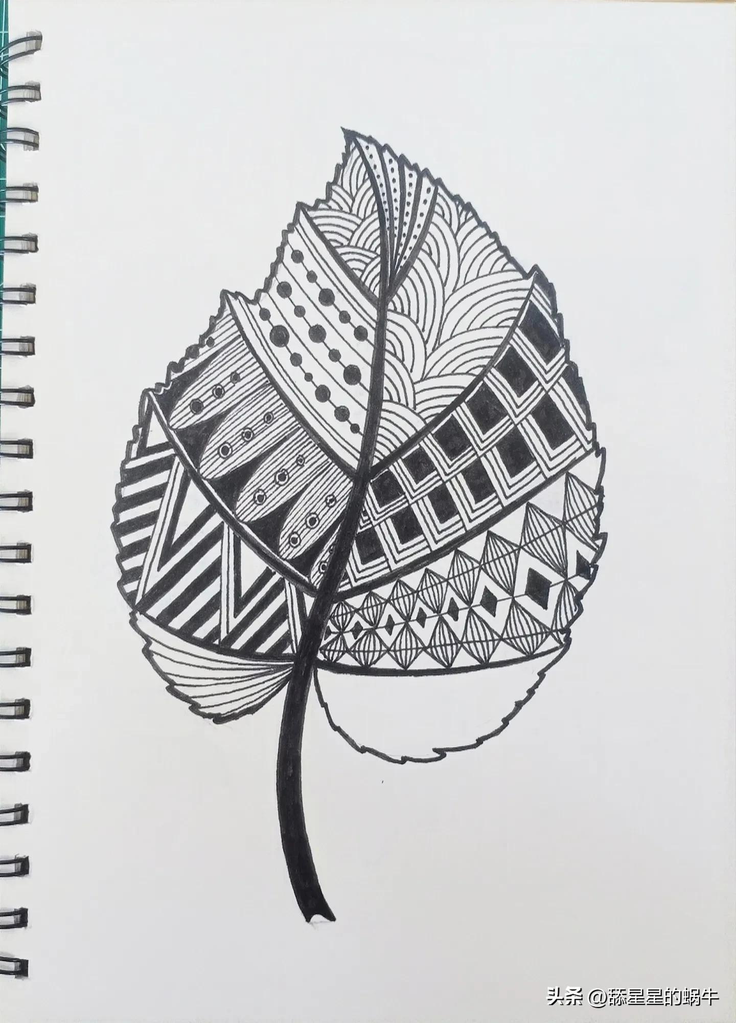 树叶黑白线描画简单花纹,点线面的树叶创意线描