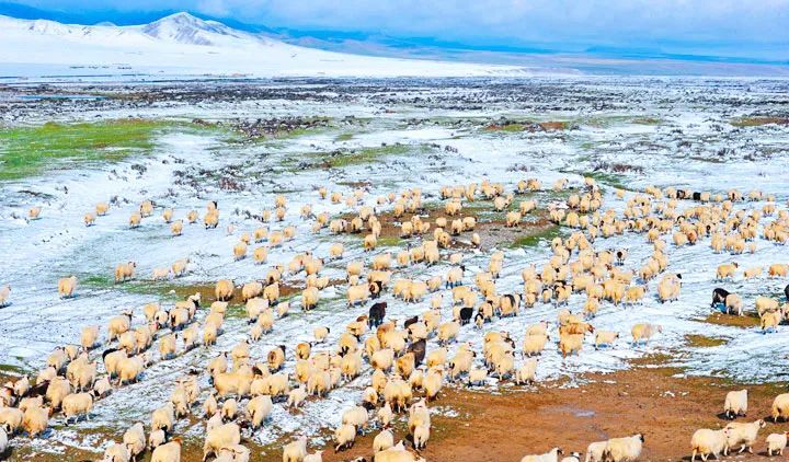 青海省天峻县旅游景区,青海天峻县有什么风景区吗