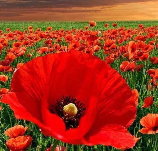 电子厂干了十天临时工，只发了164元，无奈之下我举报到了劳动局