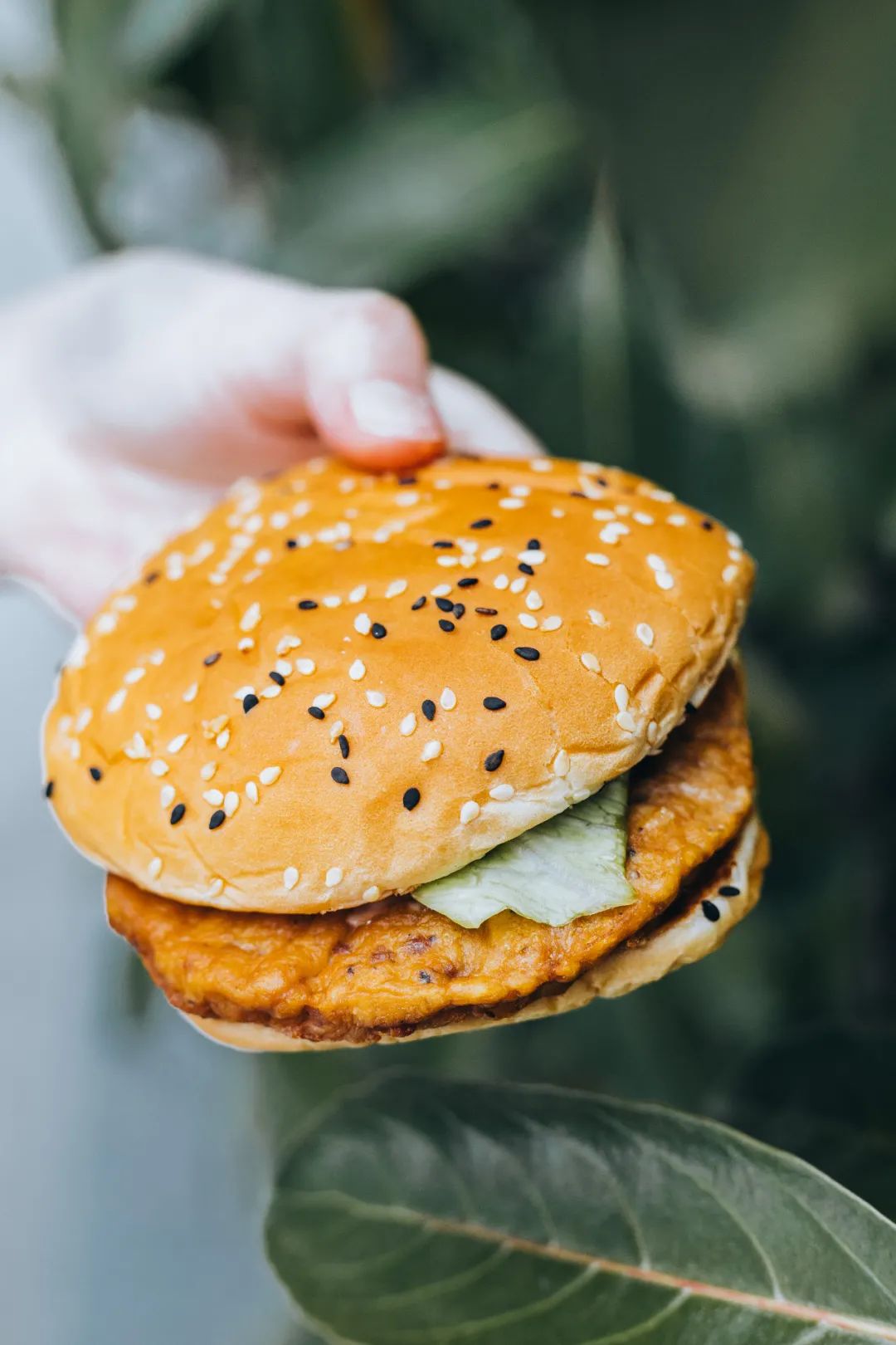 华莱士汉堡炸鸡薯条可乐鸡翅,华莱士为什么只有炸鸡汉堡