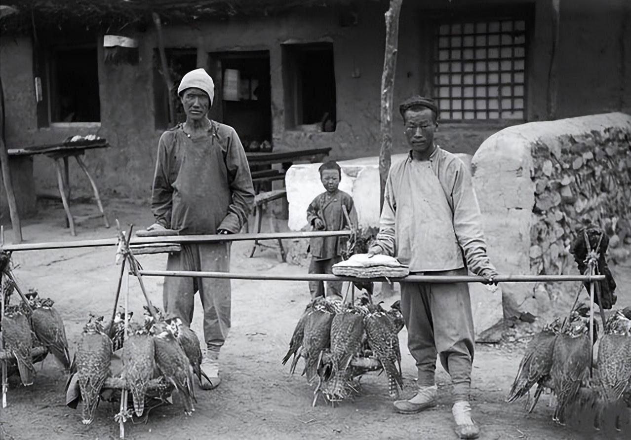 清朝灭亡后太监都去哪了,清朝灭亡后宫里的太监都去哪了