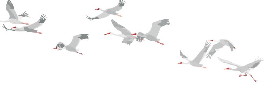 人和之师｜凝“新”聚力躬耕教育——人和街小学