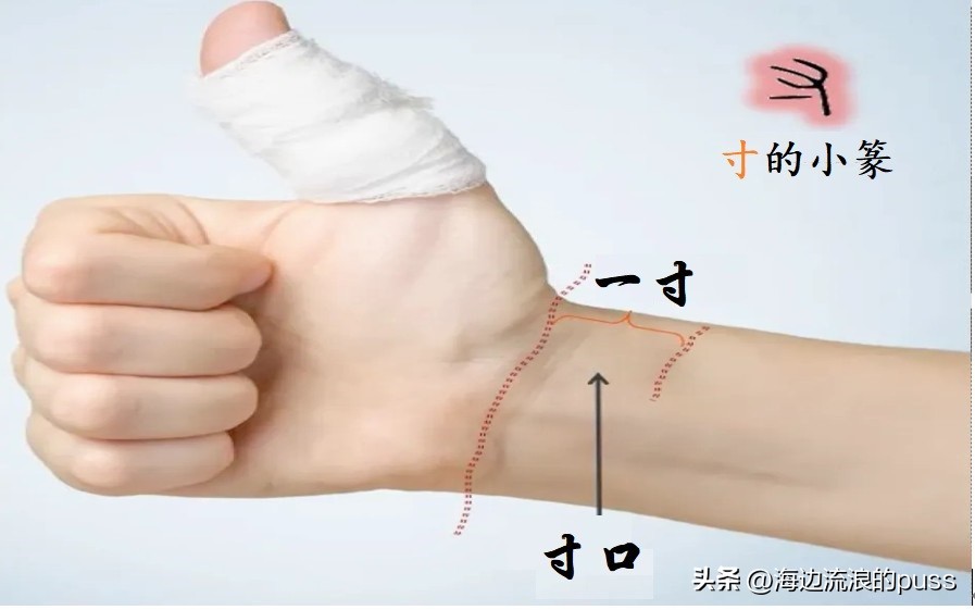 仞丈和尺哪一种最长,长度单位尺丈仞哪个大