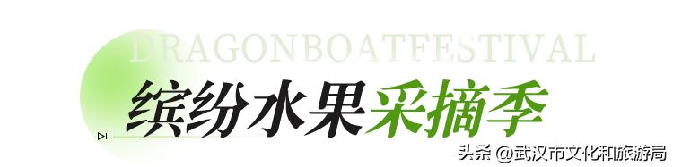 端午江夏旅游攻略,端午节江夏哪儿玩