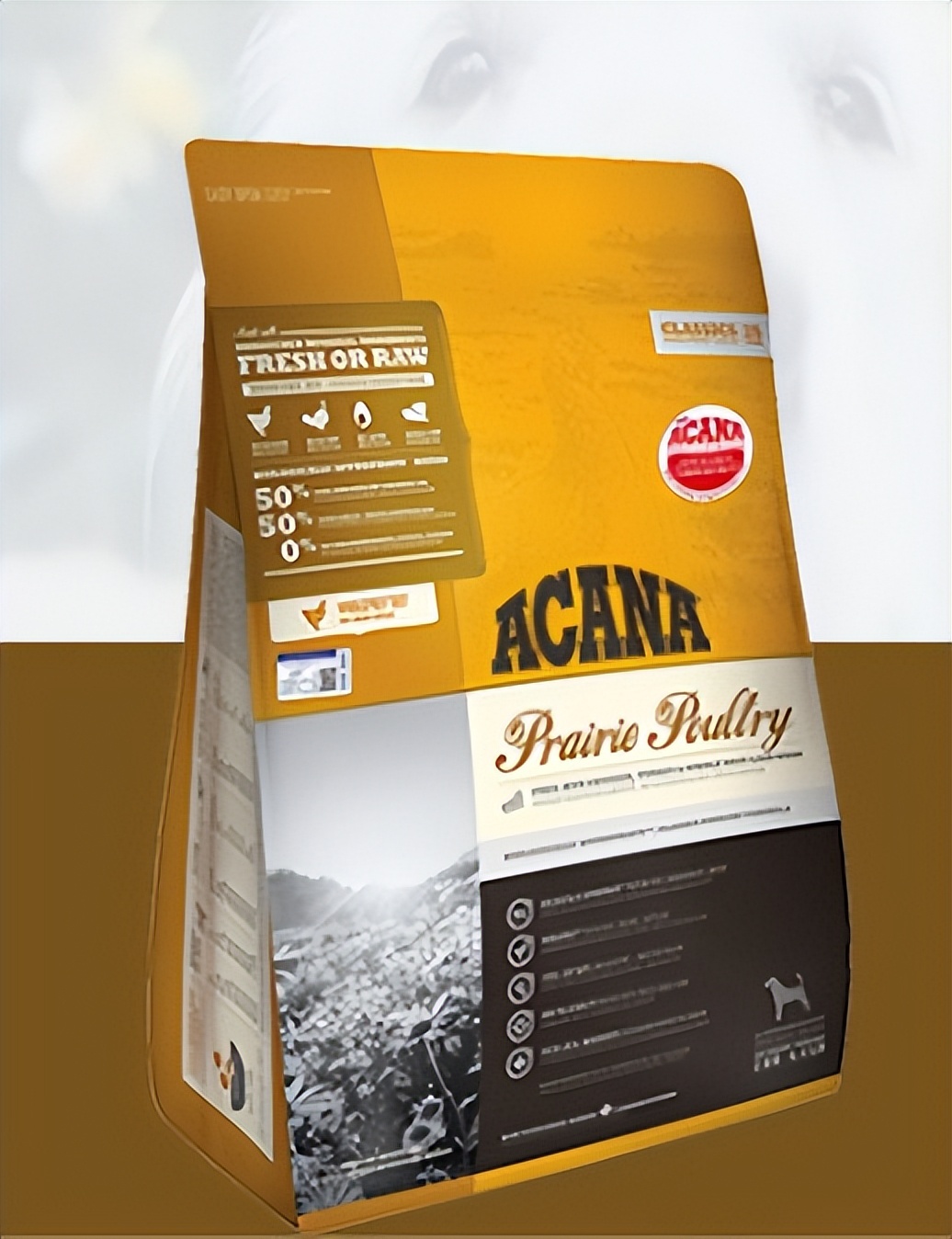 长肉狗粮测评排行榜前十名,推荐哪些长肉狗粮