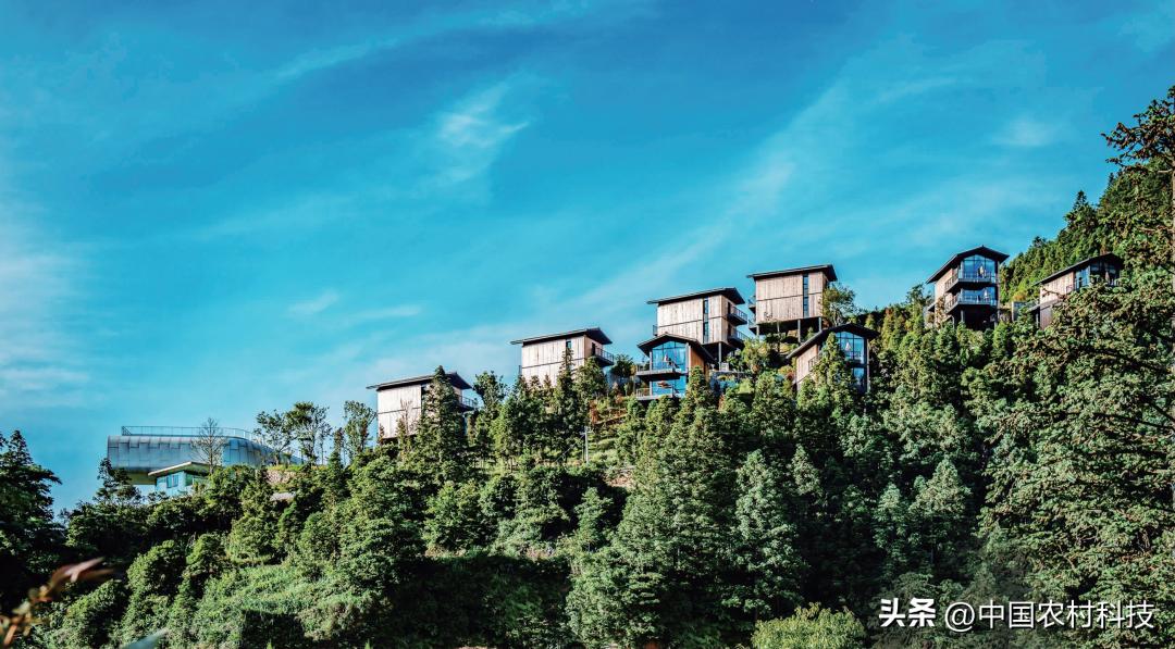 乡村振兴公益项目团队,乡村振兴的公益创业