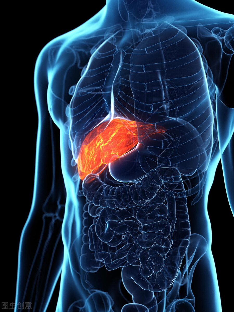 肌苷可以给肝脏解毒吗,肝脏轻微中毒怎么处理