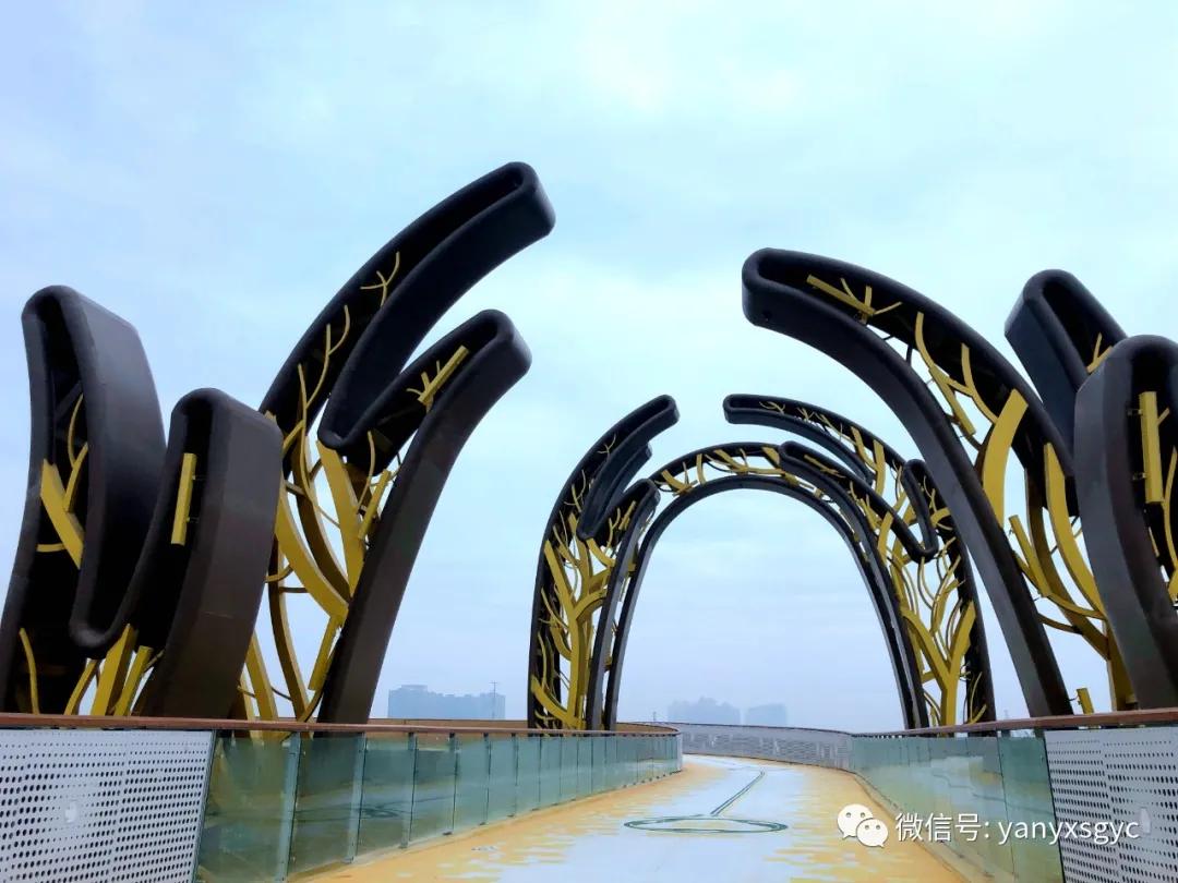 成安渝银杏大桥,成都银杏桥