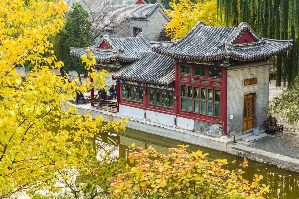 朝阳区文旅局,北京朝阳区文旅局电话