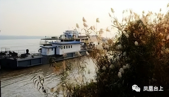 凤凰台上·忆旧｜为了完成除四害任务，中学生冒险过江捉老鼠