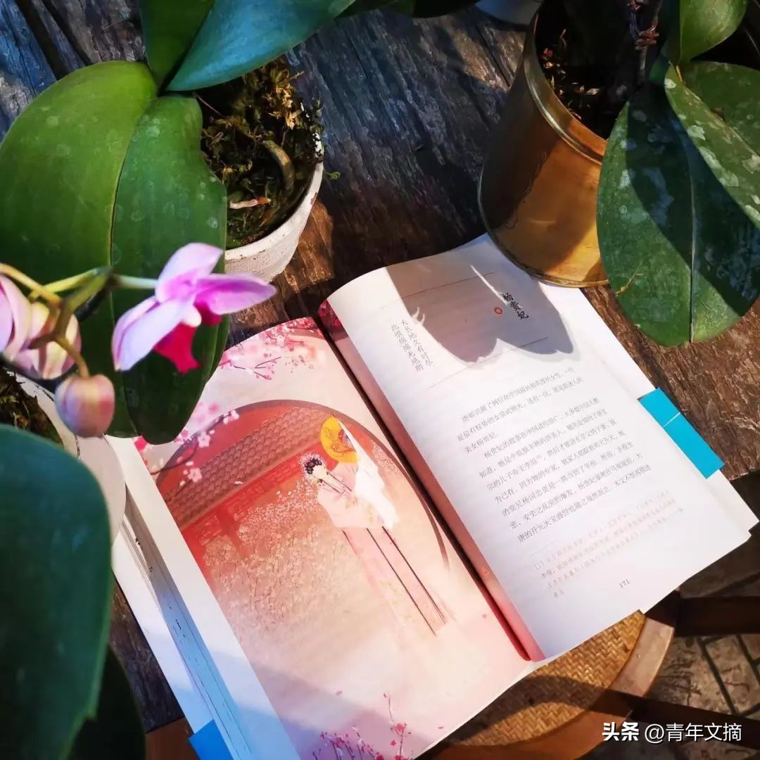 四大美人的杨玉环是传说皮肤吗,四大美人之杨玉环高清在线观看