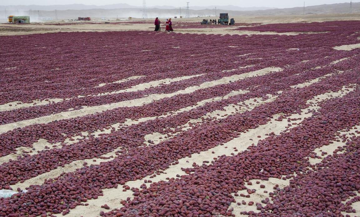 在疆创业十年,3000元在新疆做生意