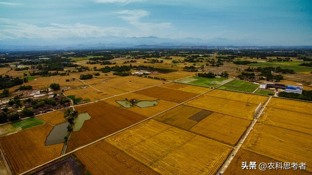 高标准农田建设多少钱一亩,永发乡高标准农田怎么建设