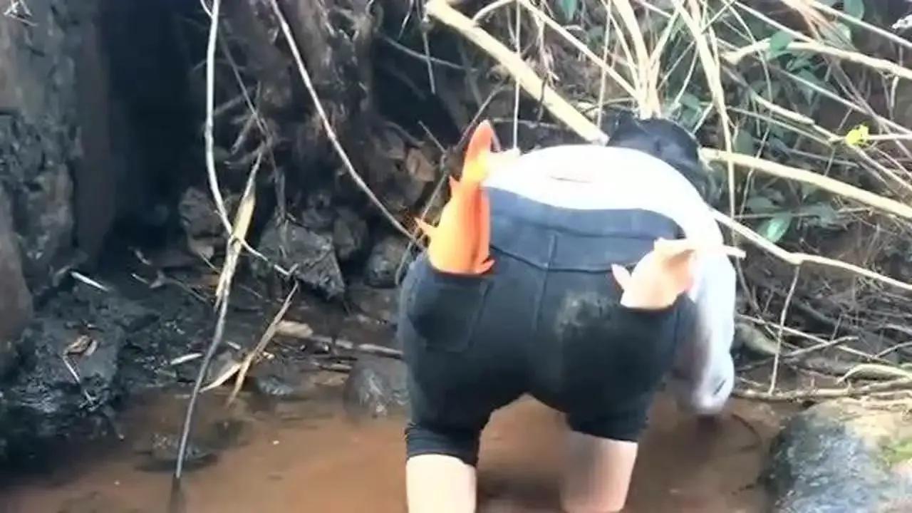 一个视频赚10万，年赚600万，抖音抓鱼“大表哥”的成名之路