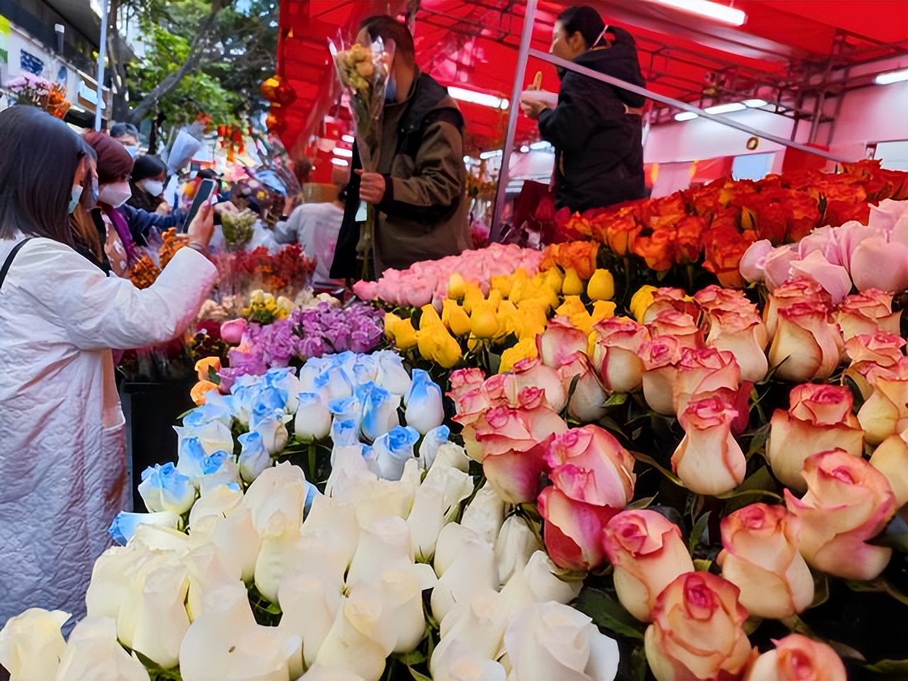 逛花市如何买好看又好养的花,花市上最好买的花有哪些