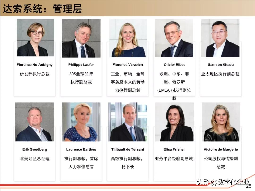 dassault杈剧储,100椤祊pt娣卞害瑙ｆ瀽