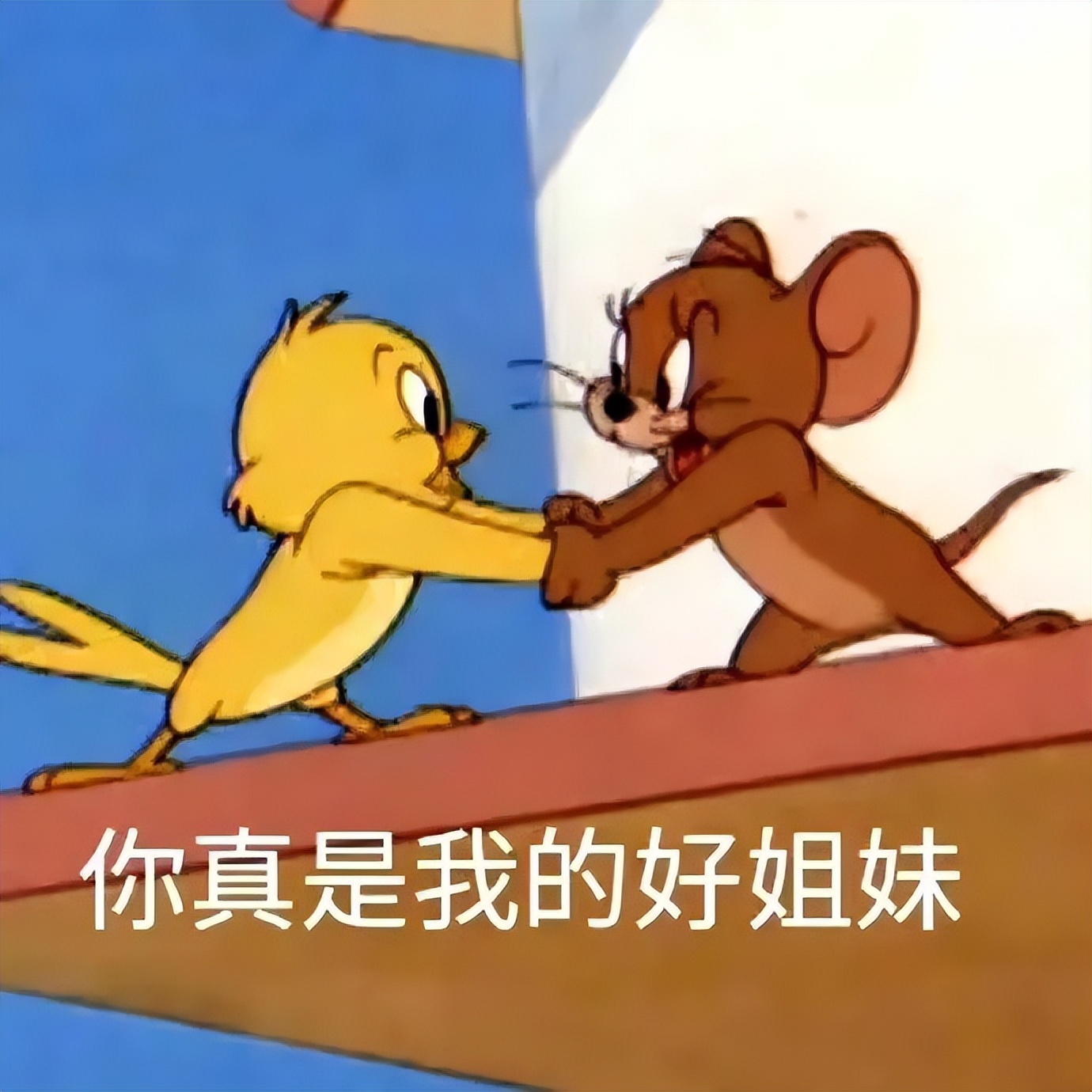 12星座命中注定会被谁征服,12星座谁最有可能成为人生赢家