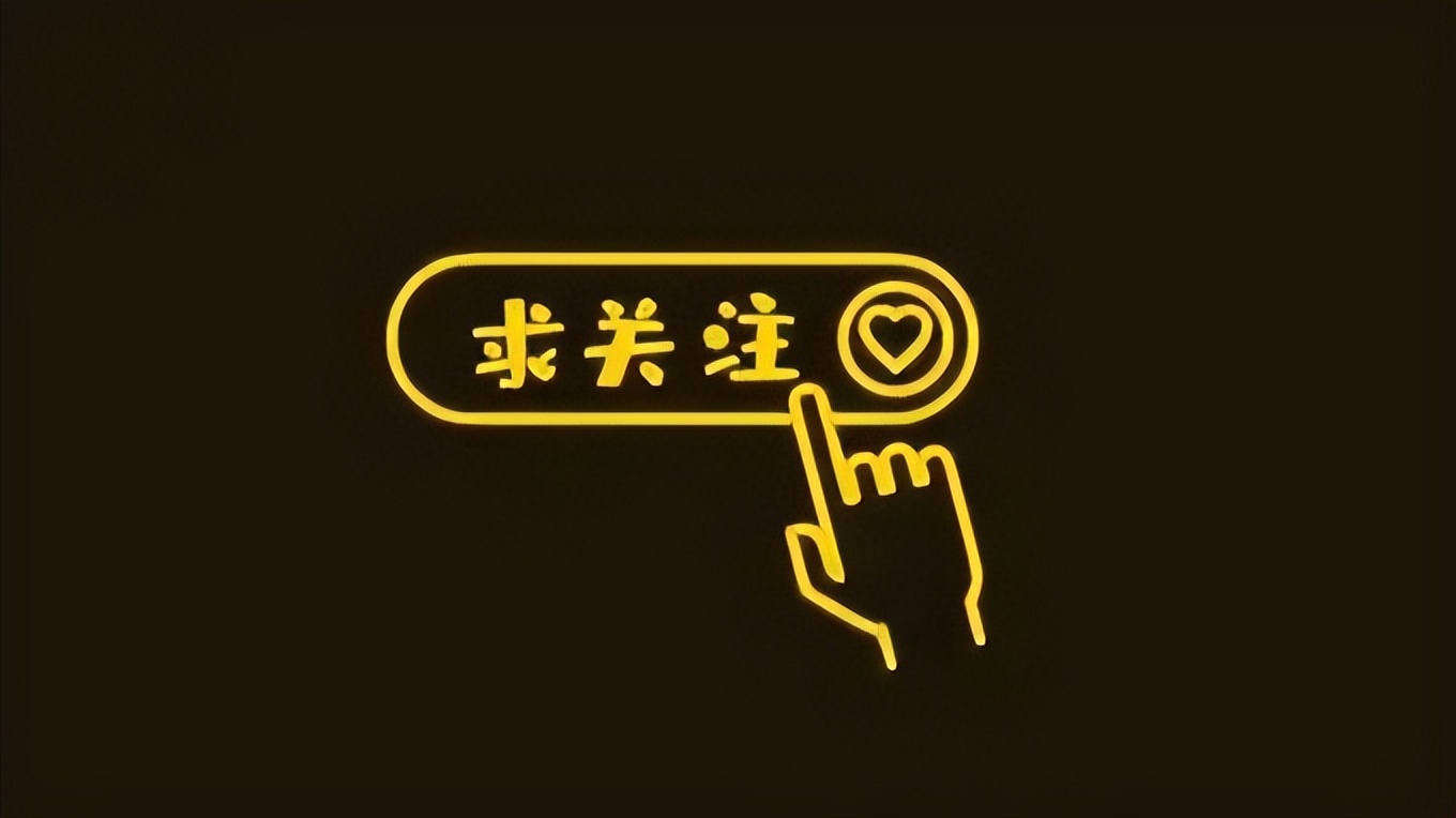 最难打理的猫咪排行,一只最难养的猫咪