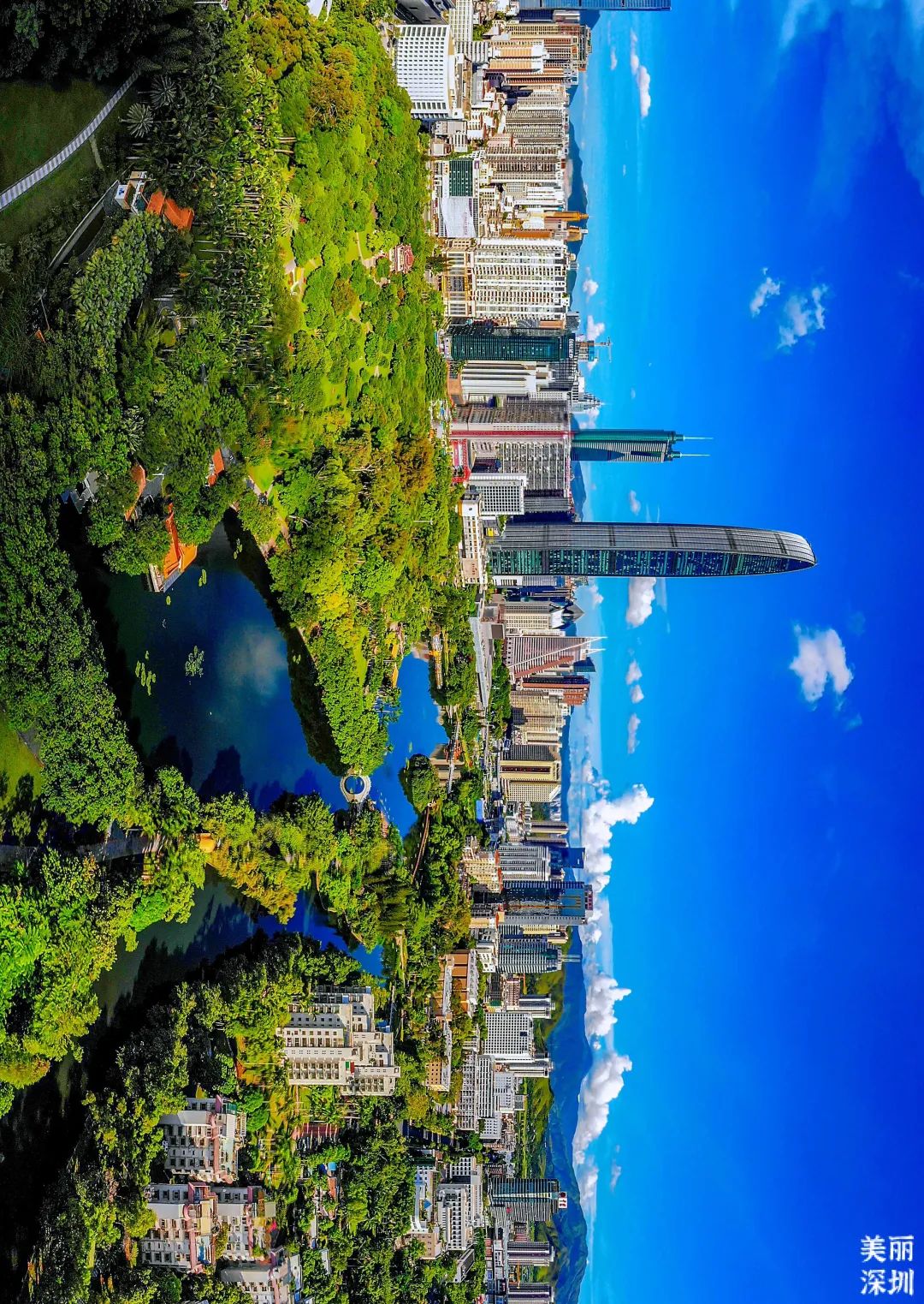 深圳莲花山公园航拍,航拍深圳凤凰山公园