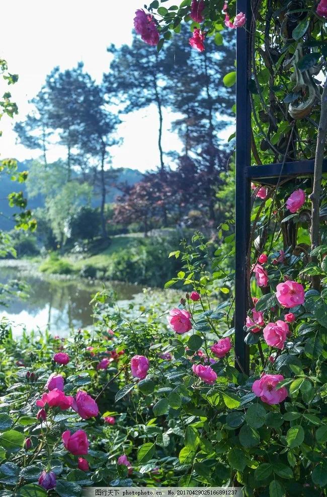狂客上联,狂客七字对联上联