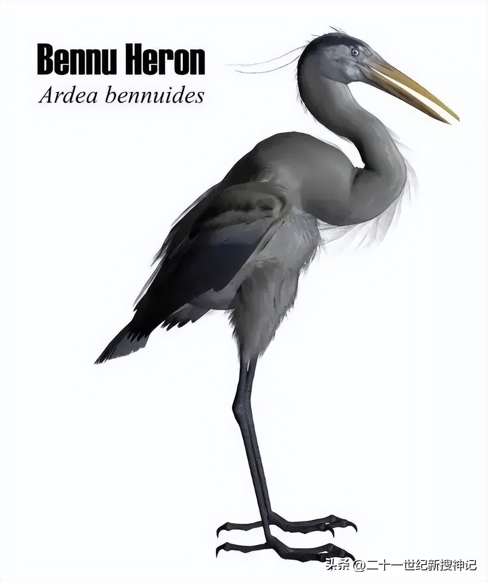 天干十神兽的故事（三）有凤来仪，变化万千，从神话飞入现实