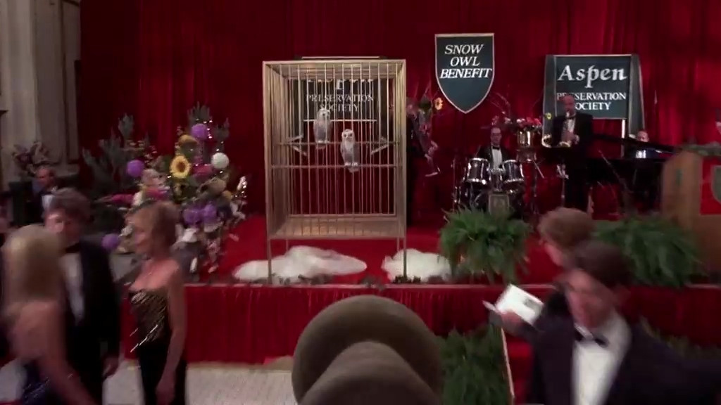 让人啼笑皆非的一部公路喜剧《阿呆与阿瓜》