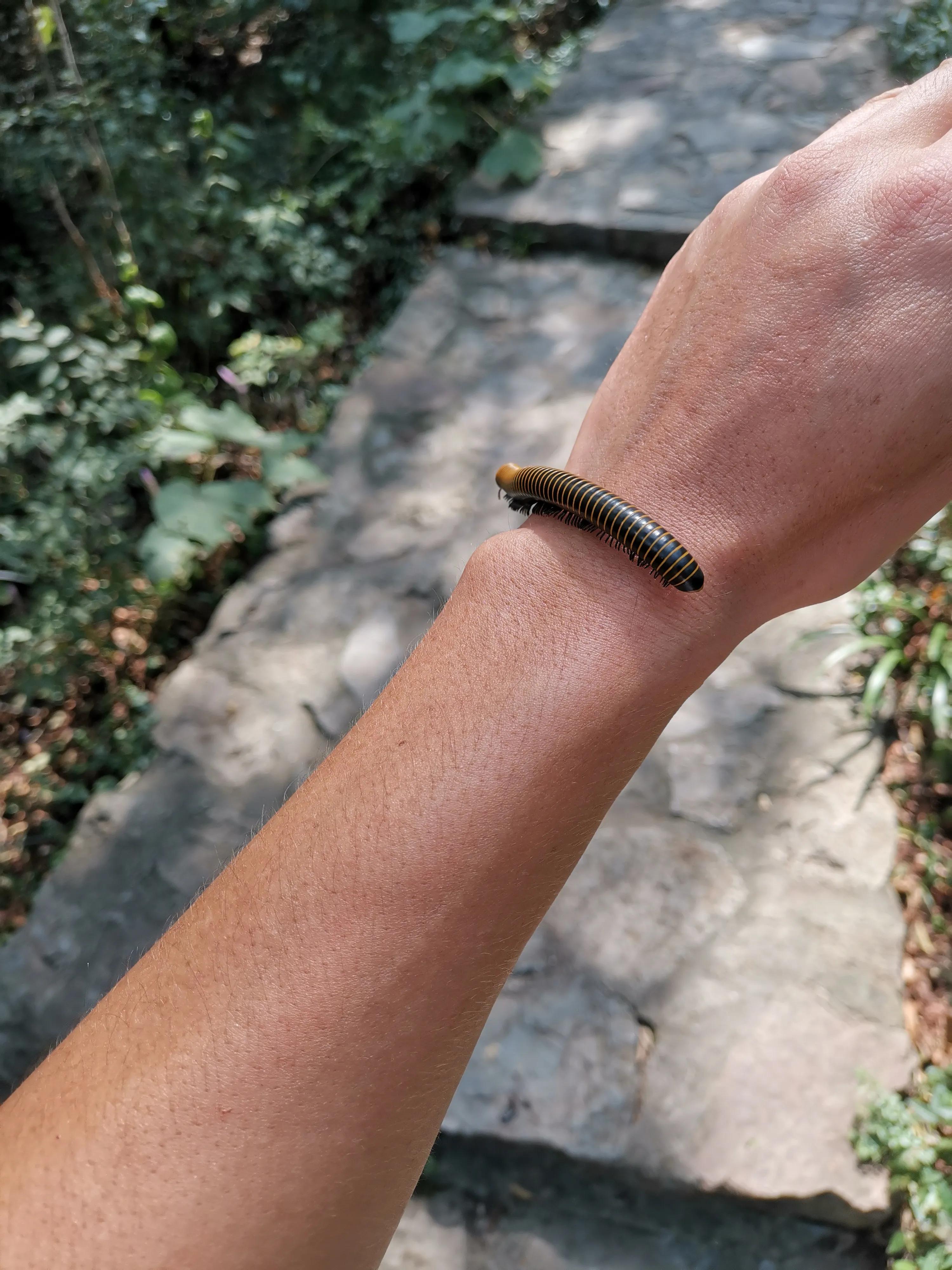 南京出发到镇江一日游跟团多少钱,南京去镇江旅行攻略路线